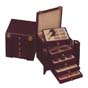 OEEA Jewelry case